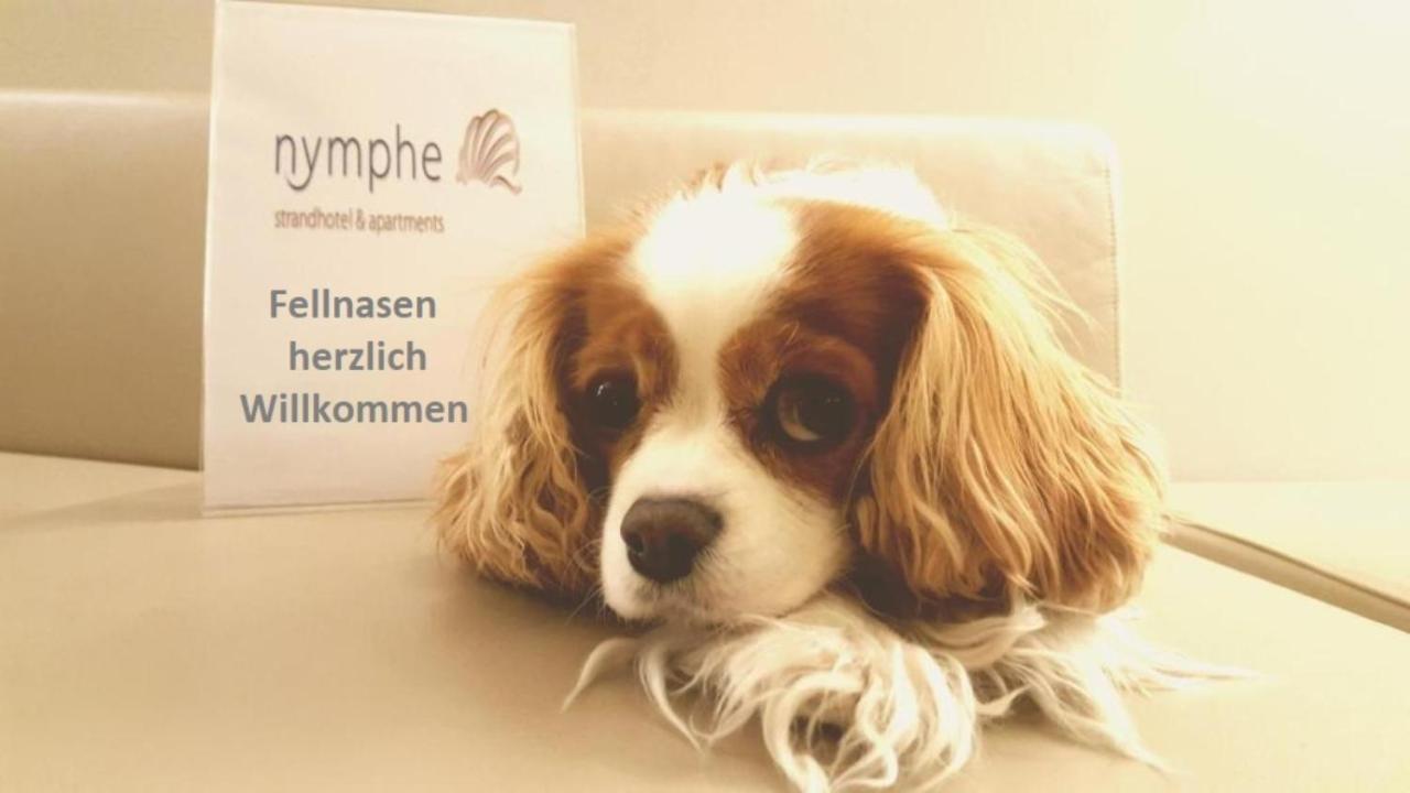 Nymphe Strandhotel & Apartments Binz Esterno foto